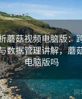 深度解析蘑菇视频电脑版：跨平台同步体验与数据管理讲解，蘑菇影视有电脑版吗