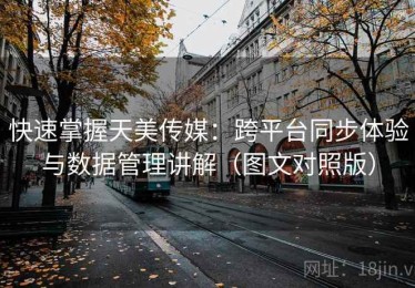 快速掌握天美传媒：跨平台同步体验与数据管理讲解（图文对照版）
