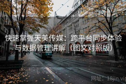 快速掌握天美传媒：跨平台同步体验与数据管理讲解（图文对照版）