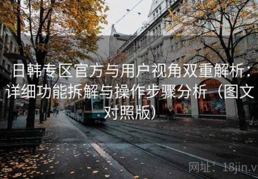 日韩专区官方与用户视角双重解析：详细功能拆解与操作步骤分析（图文对照版）