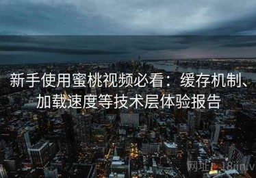 新手使用蜜桃视频必看：缓存机制、加载速度等技术层体验报告