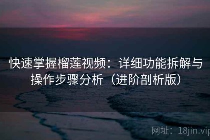 快速掌握榴莲视频：详细功能拆解与操作步骤分析（进阶剖析版）
