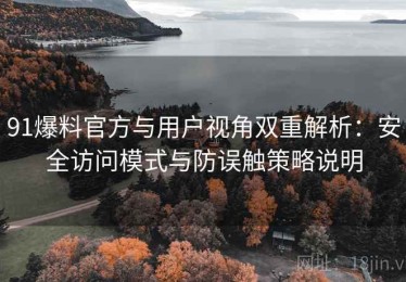91爆料官方与用户视角双重解析：安全访问模式与防误触策略说明