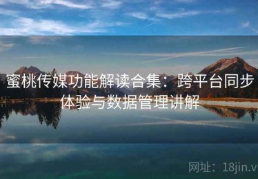 蜜桃传媒功能解读合集：跨平台同步体验与数据管理讲解