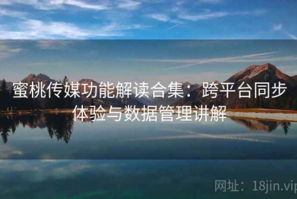 蜜桃传媒功能解读合集：跨平台同步体验与数据管理讲解