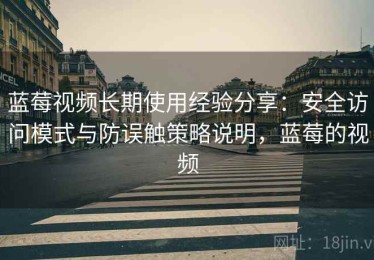 蓝莓视频长期使用经验分享：安全访问模式与防误触策略说明，蓝莓的视频