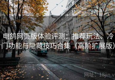 电鸽网页版体验评测：推荐玩法、冷门功能与隐藏技巧合集（高阶扩展版）