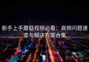 新手上手蘑菇视频必看：高频问题速查与解决方案合集