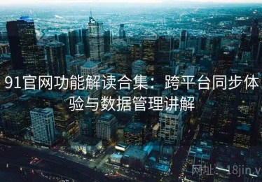 91官网功能解读合集：跨平台同步体验与数据管理讲解