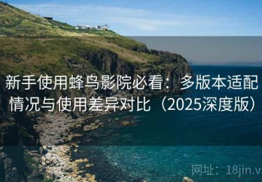 新手使用蜂鸟影院必看：多版本适配情况与使用差异对比（2025深度版）