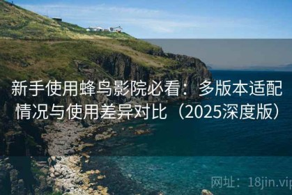 新手使用蜂鸟影院必看：多版本适配情况与使用差异对比（2025深度版）