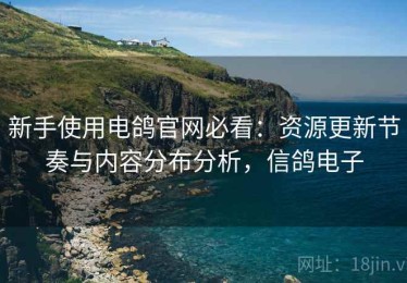 新手使用电鸽官网必看：资源更新节奏与内容分布分析，信鸽电子