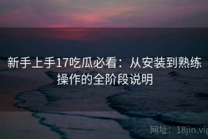新手上手17吃瓜必看：从安装到熟练操作的全阶段说明