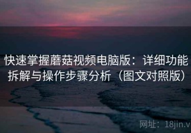 快速掌握蘑菇视频电脑版：详细功能拆解与操作步骤分析（图文对照版）