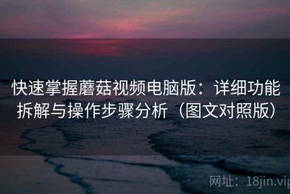 快速掌握蘑菇视频电脑版：详细功能拆解与操作步骤分析（图文对照版）