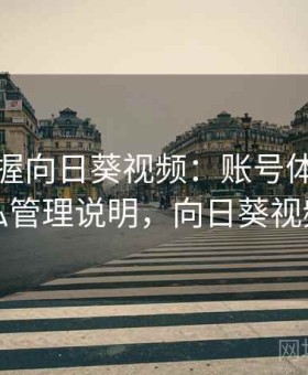 快速掌握向日葵视频：账号体系结构与隐私管理说明，向日葵视频维护