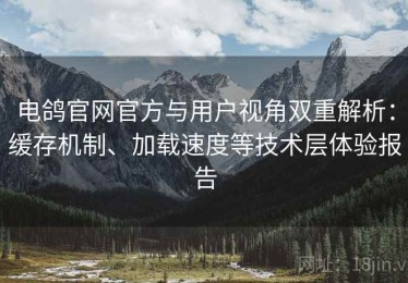 电鸽官网官方与用户视角双重解析：缓存机制、加载速度等技术层体验报告