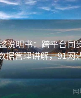 91网完整说明书：跨平台同步体验与数据管理讲解，91网沾