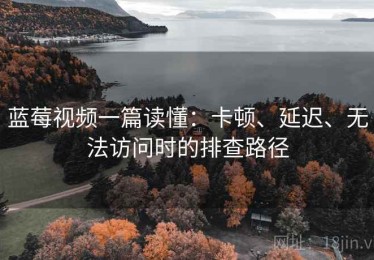 蓝莓视频一篇读懂：卡顿、延迟、无法访问时的排查路径