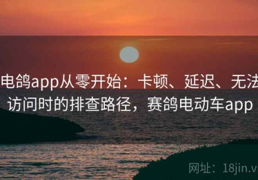 电鸽app从零开始：卡顿、延迟、无法访问时的排查路径，赛鸽电动车app
