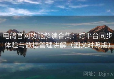 电鸽官网功能解读合集：跨平台同步体验与数据管理讲解（图文对照版）