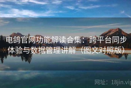 电鸽官网功能解读合集：跨平台同步体验与数据管理讲解（图文对照版）