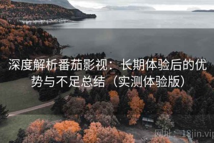深度解析番茄影视：长期体验后的优势与不足总结（实测体验版）