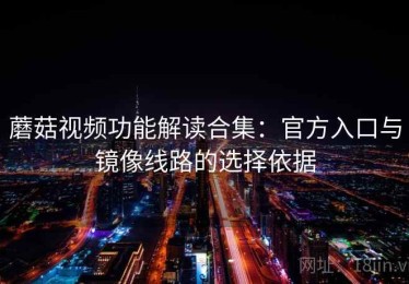 蘑菇视频功能解读合集：官方入口与镜像线路的选择依据