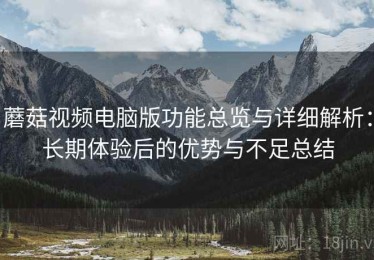 蘑菇视频电脑版功能总览与详细解析：长期体验后的优势与不足总结