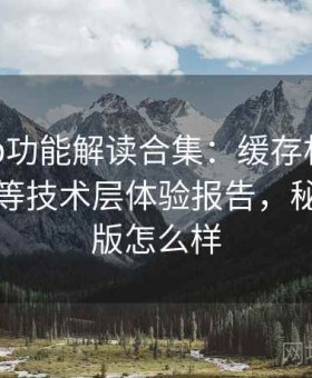 秘语app功能解读合集：缓存机制、加载速度等技术层体验报告，秘语免费版怎么样