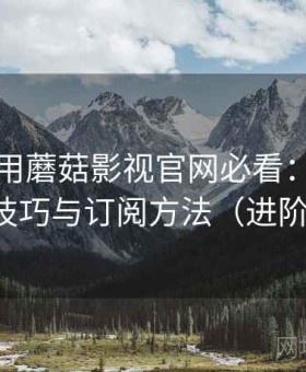新手使用蘑菇影视官网必看：分类内容浏览技巧与订阅方法（进阶剖析版）