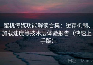 蜜桃传媒功能解读合集：缓存机制、加载速度等技术层体验报告（快速上手版）