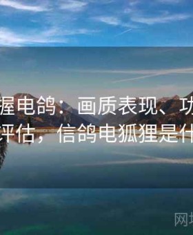 快速掌握电鸽：画质表现、功能稳定性深度评估，信鸽电狐狸是什么品系