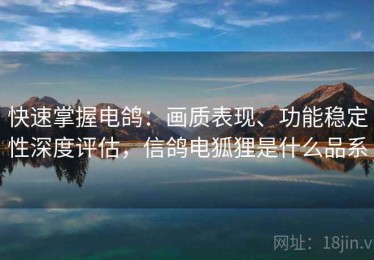 快速掌握电鸽：画质表现、功能稳定性深度评估，信鸽电狐狸是什么品系