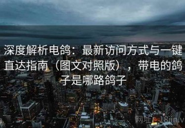 深度解析电鸽：最新访问方式与一键直达指南（图文对照版），带电的鸽子是哪路鸽子