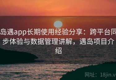 岛遇app长期使用经验分享：跨平台同步体验与数据管理讲解，遇岛项目介绍
