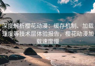 深度解析樱花动漫：缓存机制、加载速度等技术层体验报告，樱花动漫加载速度慢