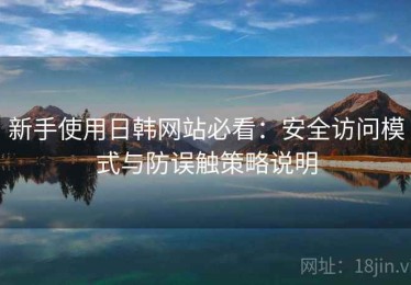 新手使用日韩网站必看：安全访问模式与防误触策略说明