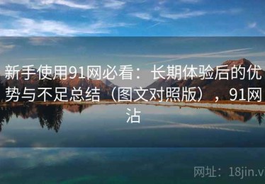 新手使用91网必看：长期体验后的优势与不足总结（图文对照版），91网沾