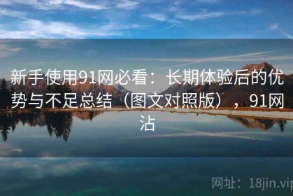 新手使用91网必看：长期体验后的优势与不足总结（图文对照版），91网沾