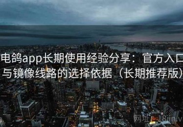 电鸽app长期使用经验分享：官方入口与镜像线路的选择依据（长期推荐版）
