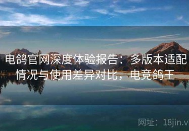 电鸽官网深度体验报告：多版本适配情况与使用差异对比，电竞鸽王