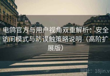 电鸽官方与用户视角双重解析：安全访问模式与防误触策略说明（高阶扩展版）
