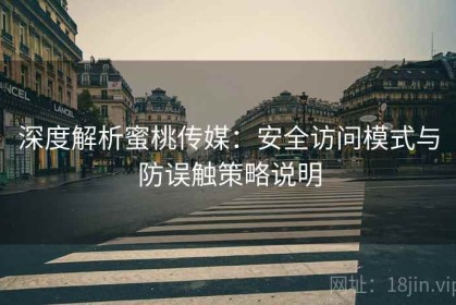深度解析蜜桃传媒：安全访问模式与防误触策略说明
