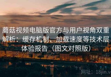 蘑菇视频电脑版官方与用户视角双重解析：缓存机制、加载速度等技术层体验报告（图文对照版）