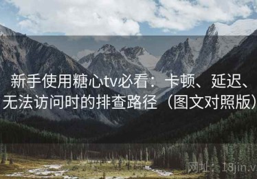 新手使用糖心tv必看：卡顿、延迟、无法访问时的排查路径（图文对照版）