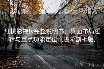 红桃影视tv完整说明书：界面布局逻辑与重点功能定位（进阶剖析版）