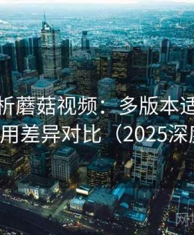 深度解析蘑菇视频：多版本适配情况与使用差异对比（2025深度版）