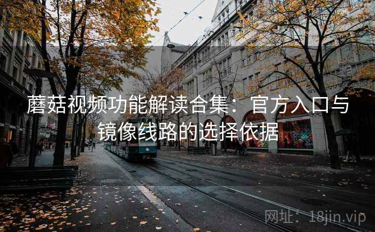 蘑菇视频功能解读合集：官方入口与镜像线路的选择依据