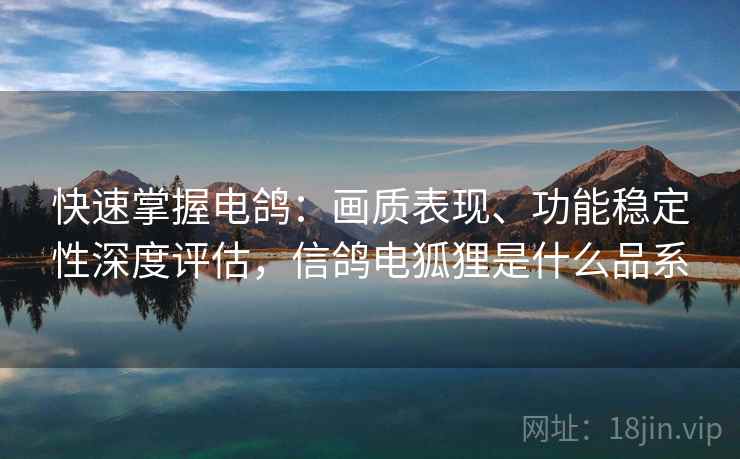 快速掌握电鸽：画质表现、功能稳定性深度评估，信鸽电狐狸是什么品系